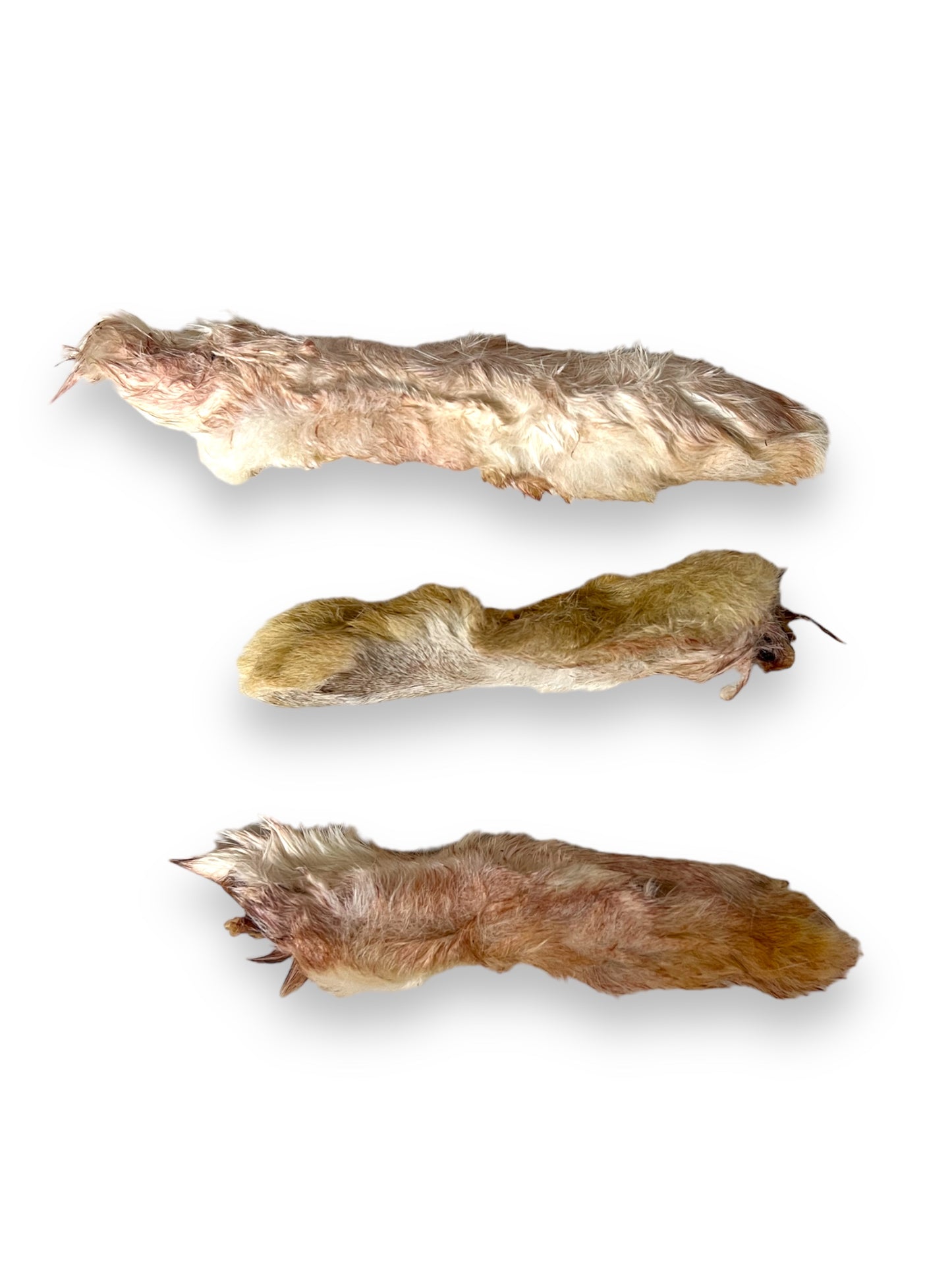 Rabbit Feet