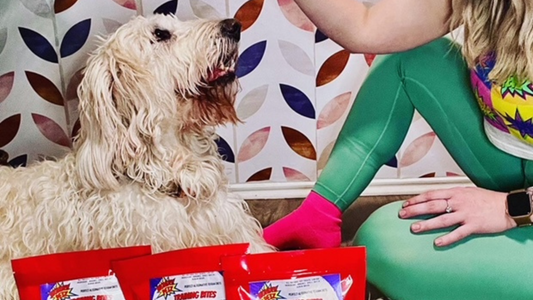 Treat Your Pup Right! Unleashing the Power of High-Value Treats
