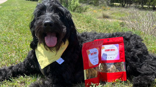 Back to the Basics: The Benefits of Limited Ingredient Food and Treats for Your Dog