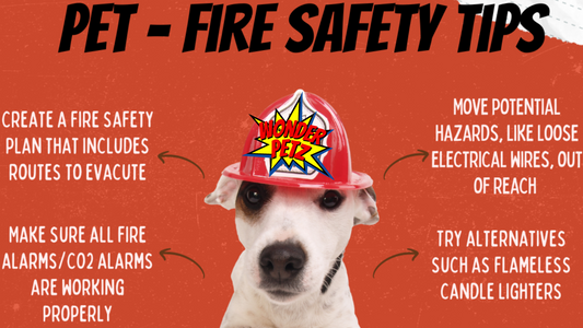 Fireproofing Your Furbabies: Essential Pet Fire Safety Tips to Keep Them Safe