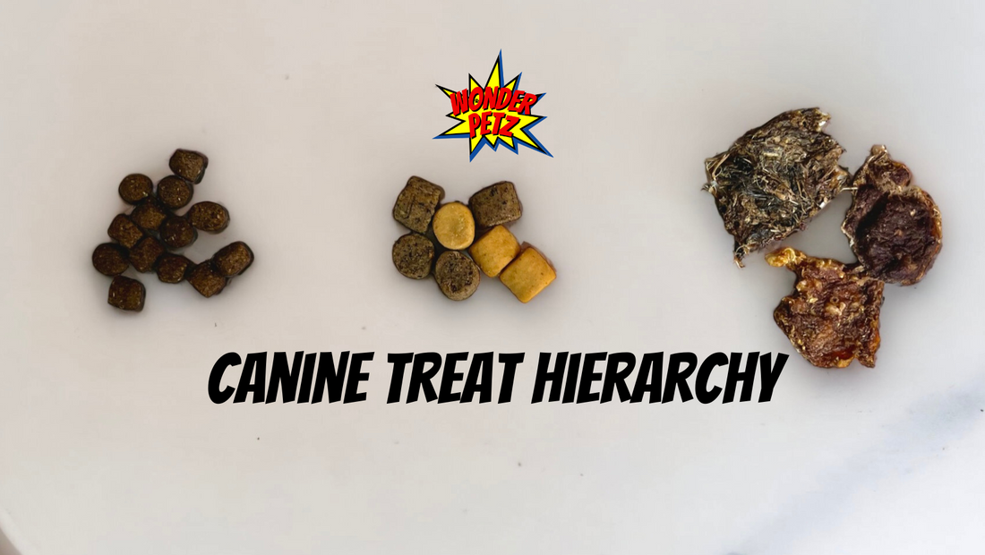 Ultimate Treat Showdown - The Canine Treat Hierarchy
